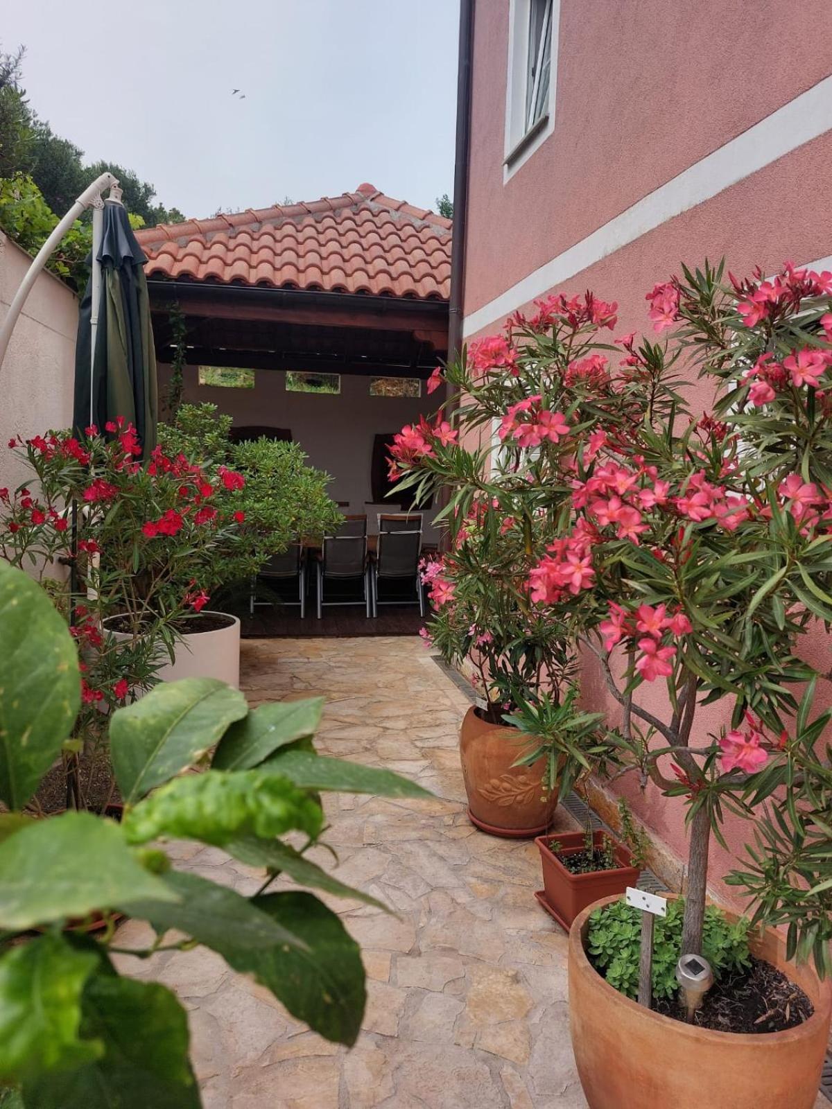 Apartments Ljubo ستاري غراد المظهر الخارجي الصورة